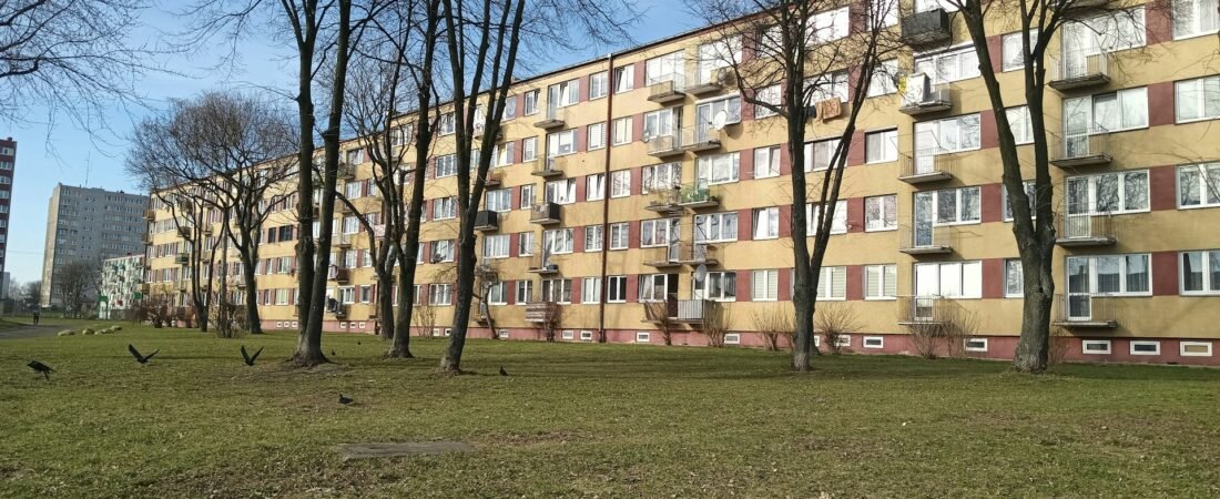 Déloger par la force des squatteurs : L’erreur juridique à ne pas commettre