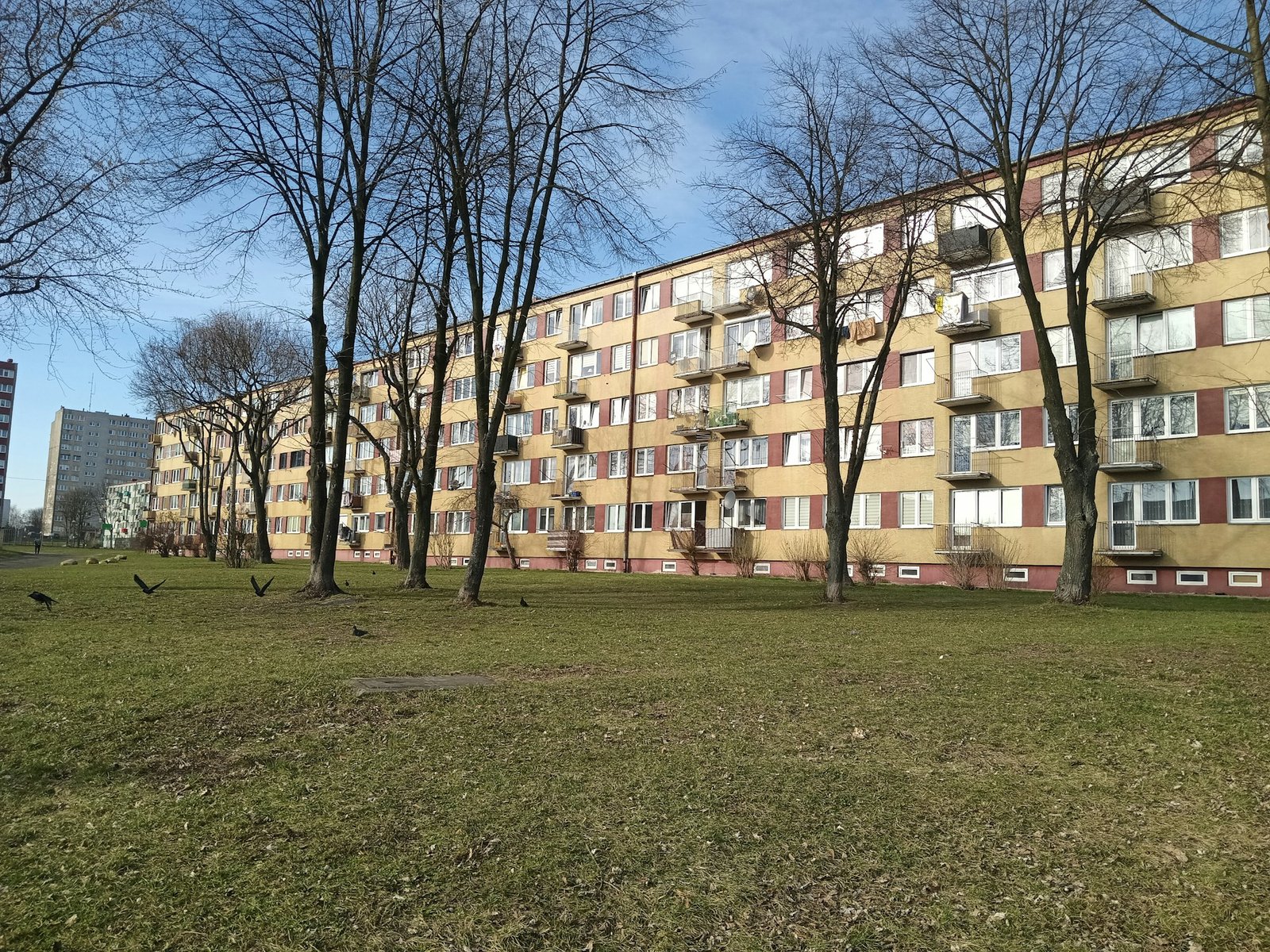 Déloger par la force des squatteurs : L’erreur juridique à ne pas commettre